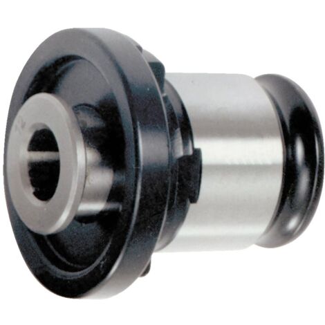 Fortis Schnellwechsel-Einsatz FE3 22,0 mm