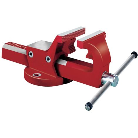 Fortis Schraubstock mit Rohrspannbacken 120 mm