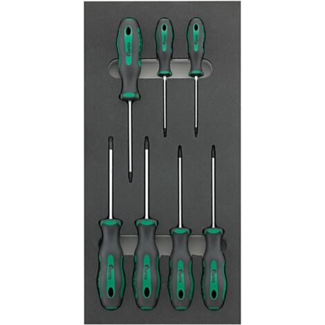 Fortis Werkzeugmodul 1/3 Schraubendreher Torx