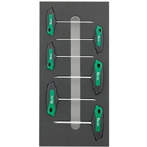 Fortis Werkzeugmodul 1/3 T-Griff Torx