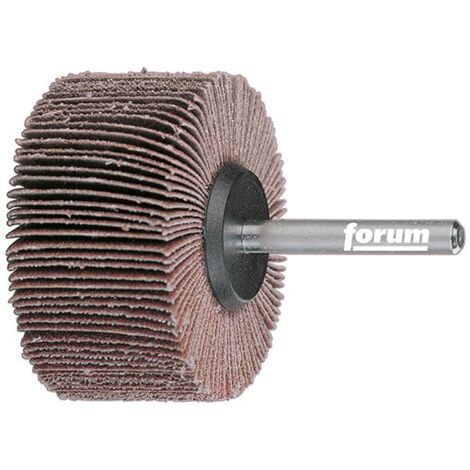 Forum Fächerschleifer 40x15x6mm K120