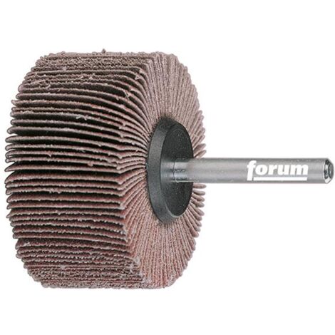 Forum Fächerschleifer 60 x 50 x 6 mm K80