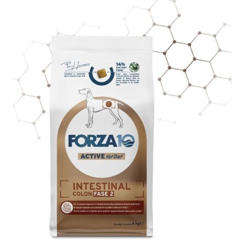 Forza10 Cane Veterinary Intestinal Colon Fase 2 4 kg