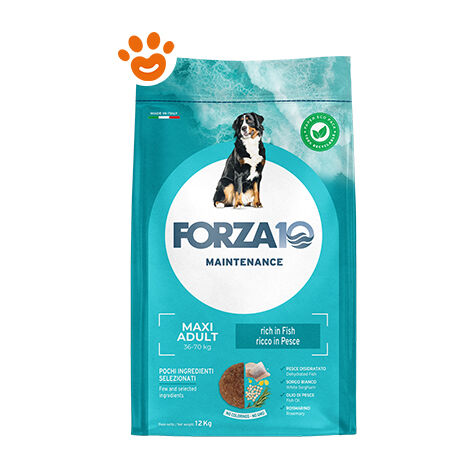 Forza10 Dog Adult Maintenance Maxi Pesce  - Forza10 Dog Adult Maintenance Maxi Pesce - Sacco Da 12 Kg