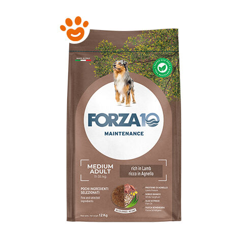 Forza10 Dog Maintenance Medium Maintenance Agnello e Riso  - Forza10 Dog Maintenance Medium Maintenance Agnello e Riso - Sacco Da 12 Kg