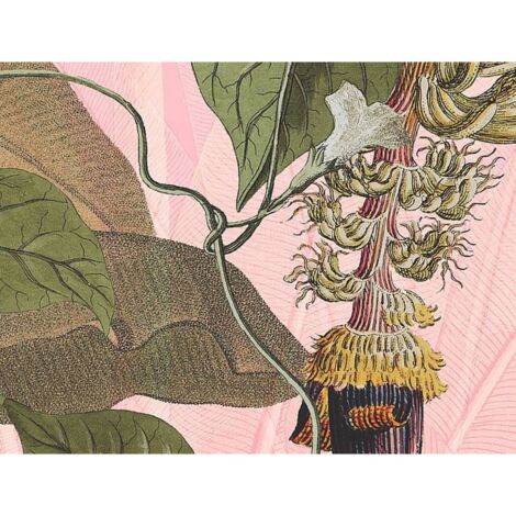 Foto Murale Plantation 350x270 cm Komar - Multicolore