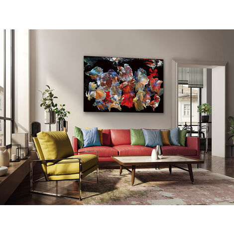 FOTO PECES SIAM 150x100