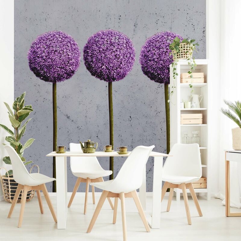 

Fotomural - Allium Ball Blossoms - Mural cuadrado Dimensión LxA: 192cm x 192cm