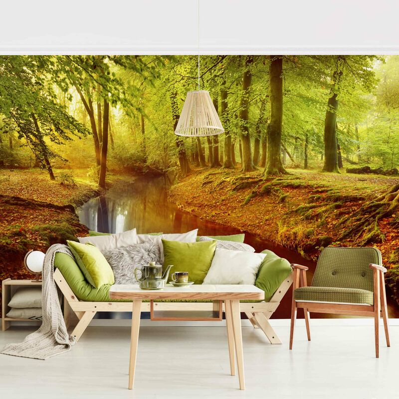 

Fotomural - Autumn Forest - Mural apaisado Dimensión LxA: 290cm x 432cm