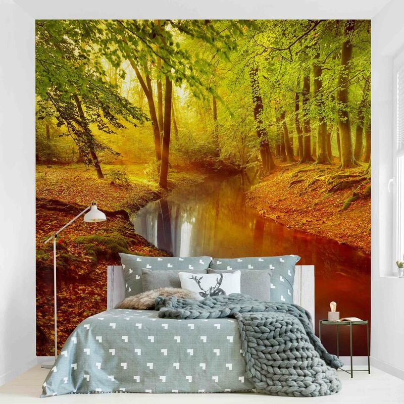 

Fotomural - Autumn Forest - Mural cuadrado Dimensión LxA: 192cm x 192cm