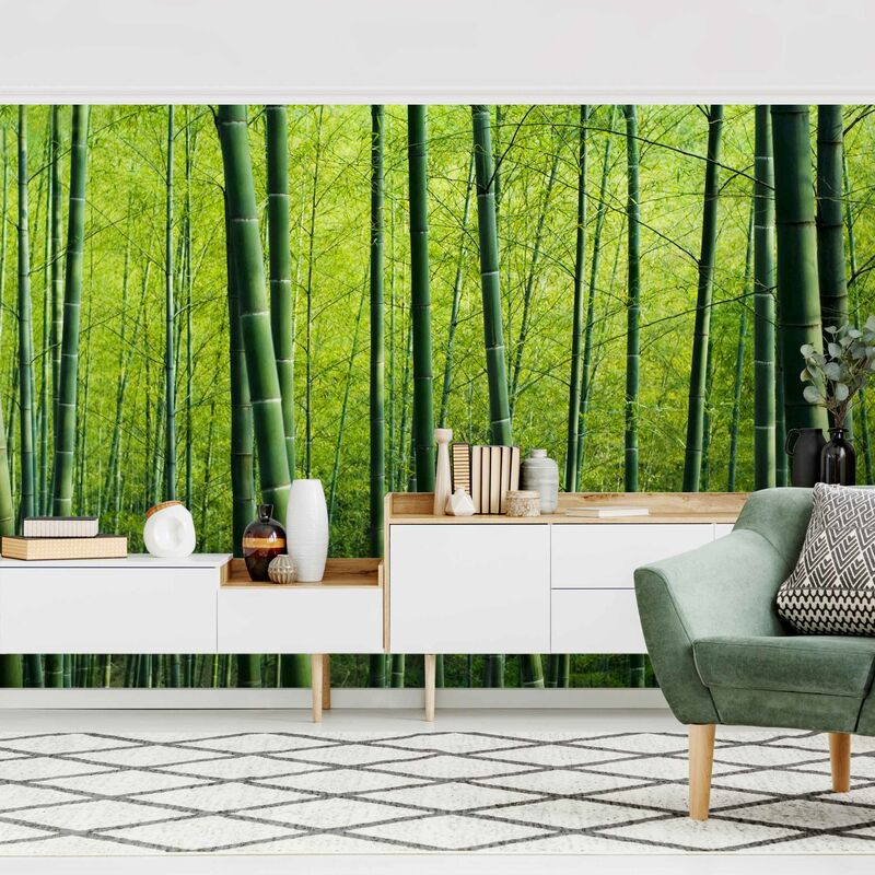 

Fotomural - Bamboo Forest - Mural apaisado Dimensión LxA: 320cm x 480cm