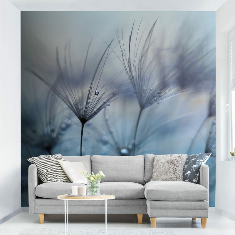 

Fotomural - Blue Feathers In The Rain - Mural cuadrado Dimensión LxA: 240cm x 240cm