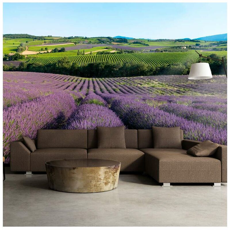 

Fotomural - Campos de lavanda Medidas 350X270