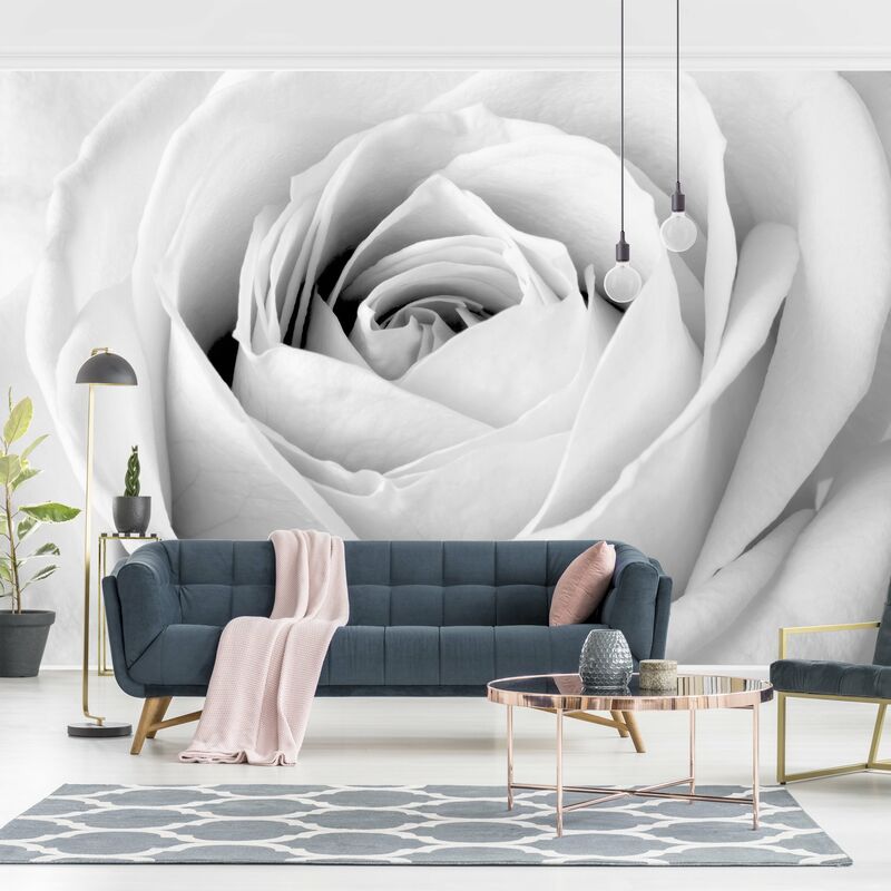 

Fotomural - Close Up Rose - Mural apaisado Dimensión LxA: 225cm x 336cm