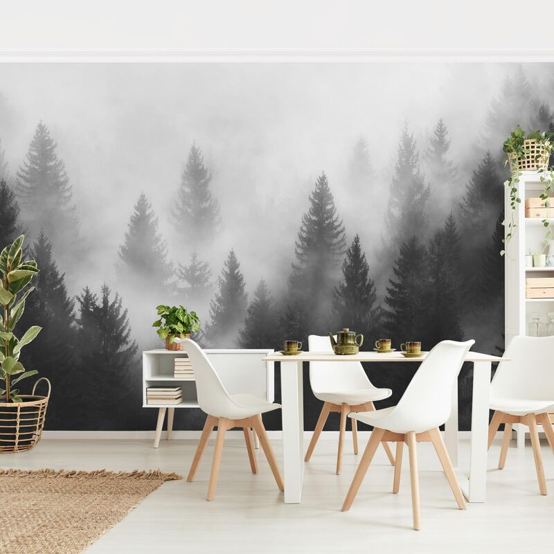 

Fotomural - Coniferous Forest In The Fog Black And White - Mural apaisado Dimensión LxA: 290cm x 432cm