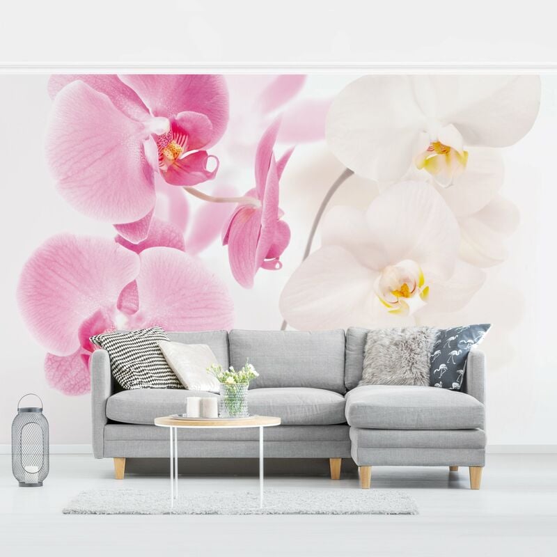 

Fotomural - Delicate Orchids - Mural apaisado Dimensión LxA: 225cm x 336cm