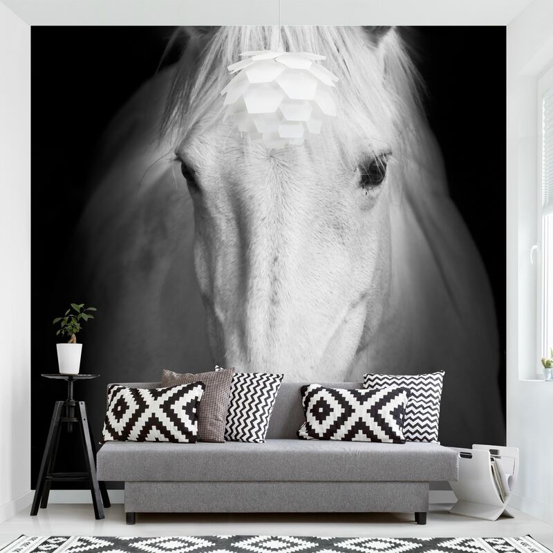 

Fotomural - Dream Of A Horse - Mural cuadrado Dimensión LxA: 192cm x 192cm