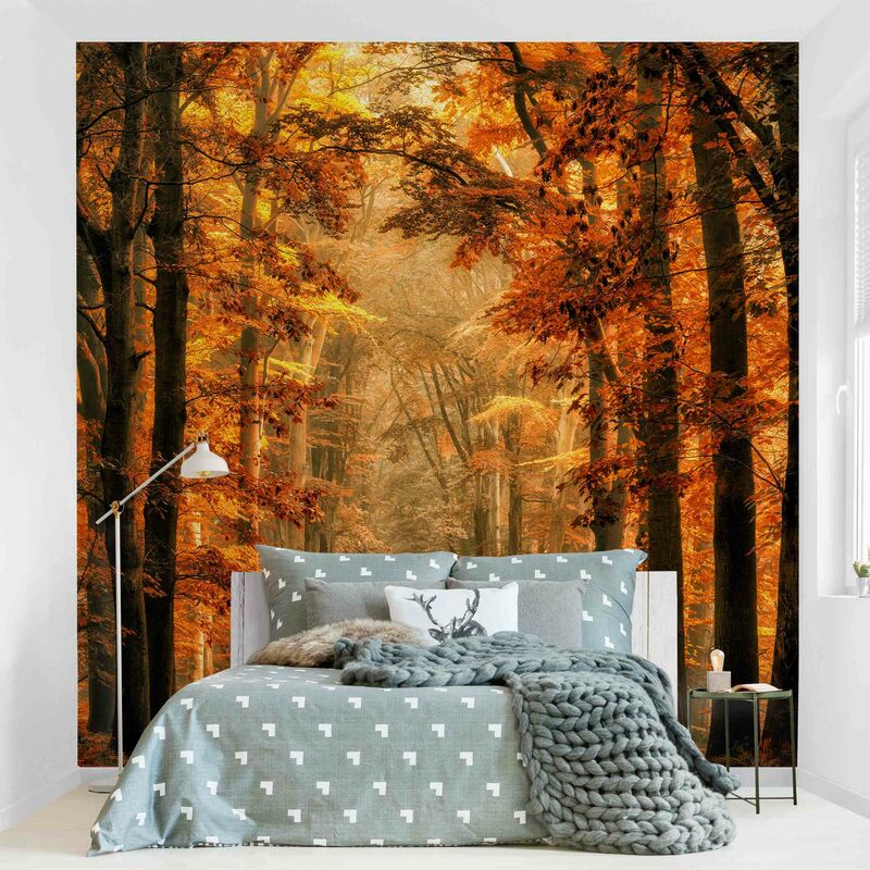 

Fotomural - Enchanted Forest In Autumn - Mural cuadrado Dimensión LxA: 192cm x 192cm