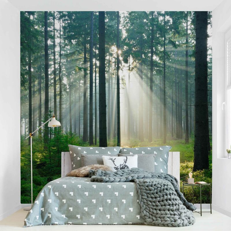 

Fotomural - Enlightened Forest - Mural cuadrado Dimensión LxA: 240cm x 240cm