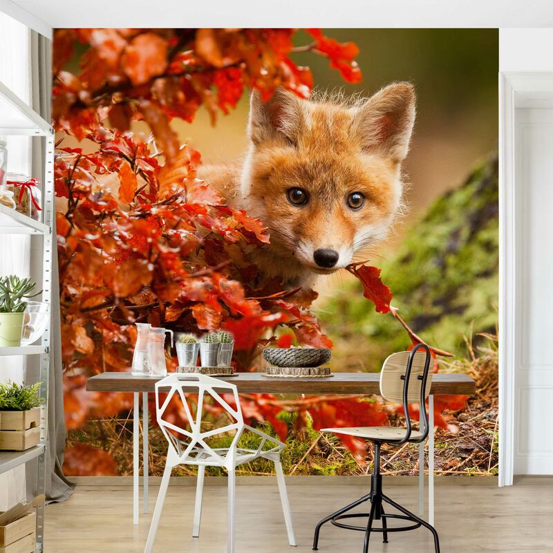 

Fotomural - Fox In The Fall - Mural cuadrado Dimensión LxA: 336cm x 336cm