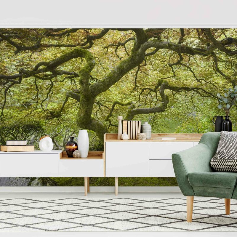 

Fotomural - Green Japanese Garden - Mural apaisado Dimensión LxA: 225cm x 336cm