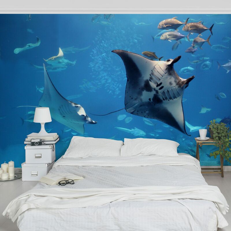 

Fotomural - Manta Ray - Mural apaisado Dimensión LxA: 255cm x 384cm