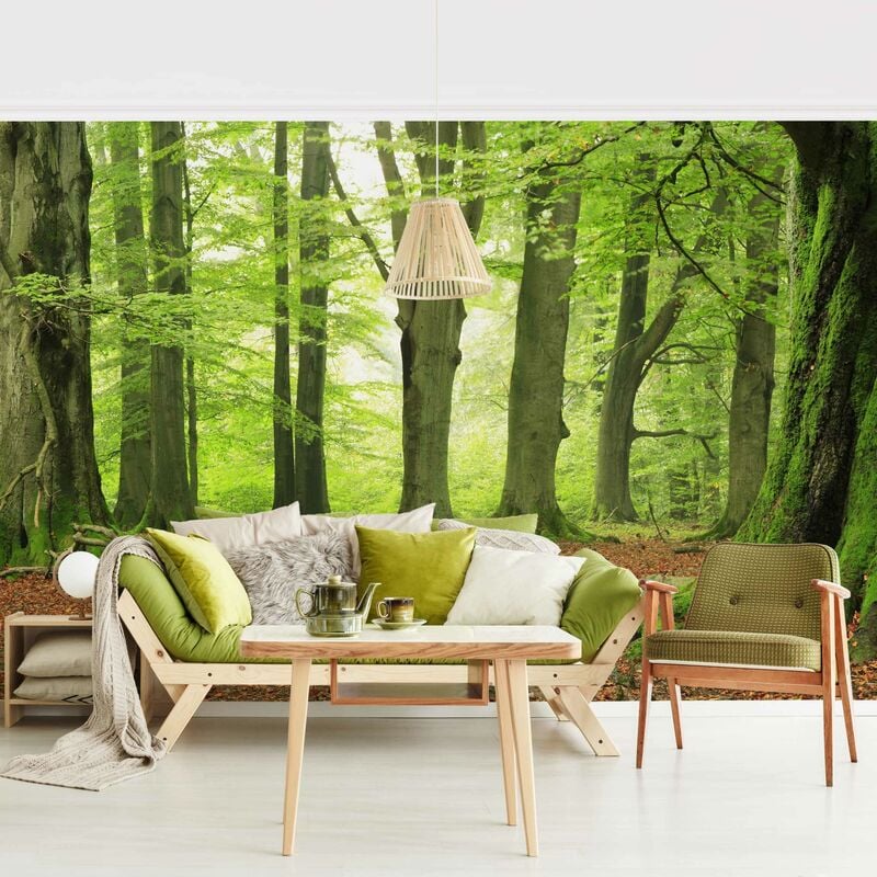 

Fotomural - Mighty Beech Trees - Mural apaisado Dimensión LxA: 190cm x 288cm