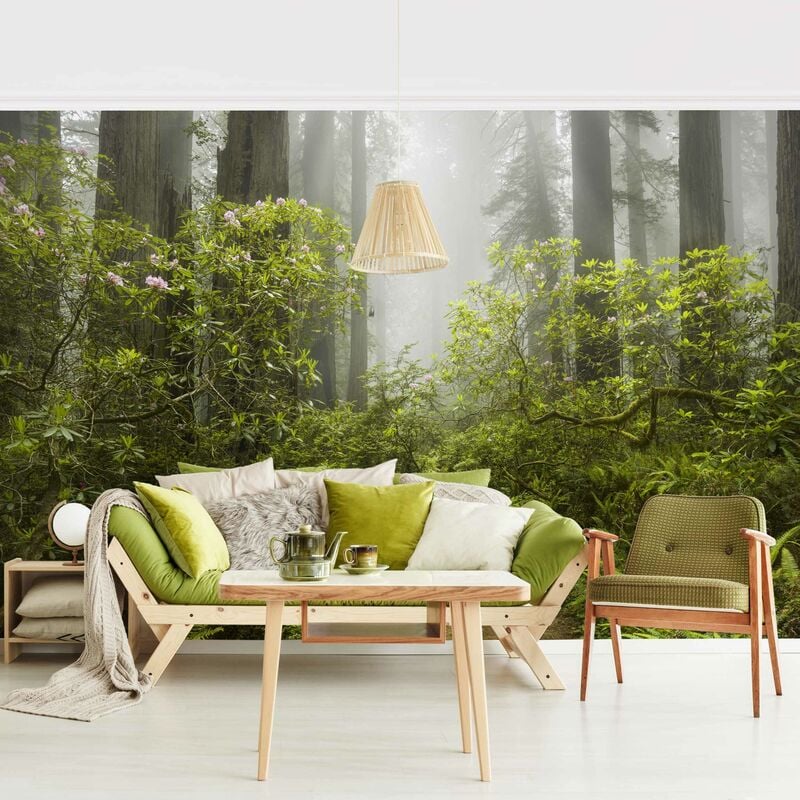 

Fotomural - Misty Forest Path - Mural apaisado Dimensión LxA: 290cm x 432cm