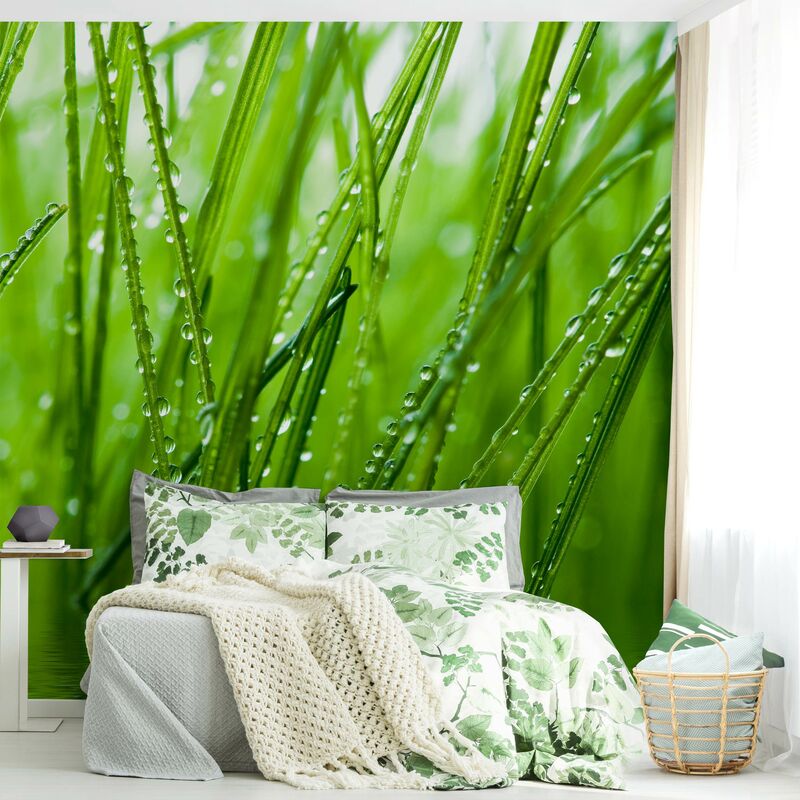 

Fotomural - Morning Dew - Mural cuadrado Dimensión LxA: 288cm x 288cm