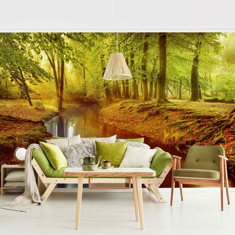 

Fotomural Premium - Autumn Forest - Mural apaisado Dimensión LxA: 225cm x 336cm Material: Premium