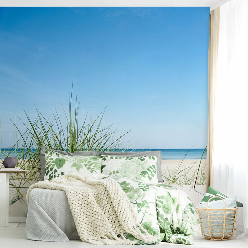 

Fotomural Premium - Baltic Sea Coast - Mural cuadrado Dimensión LxA: 240cm x 240cm Material: Premium