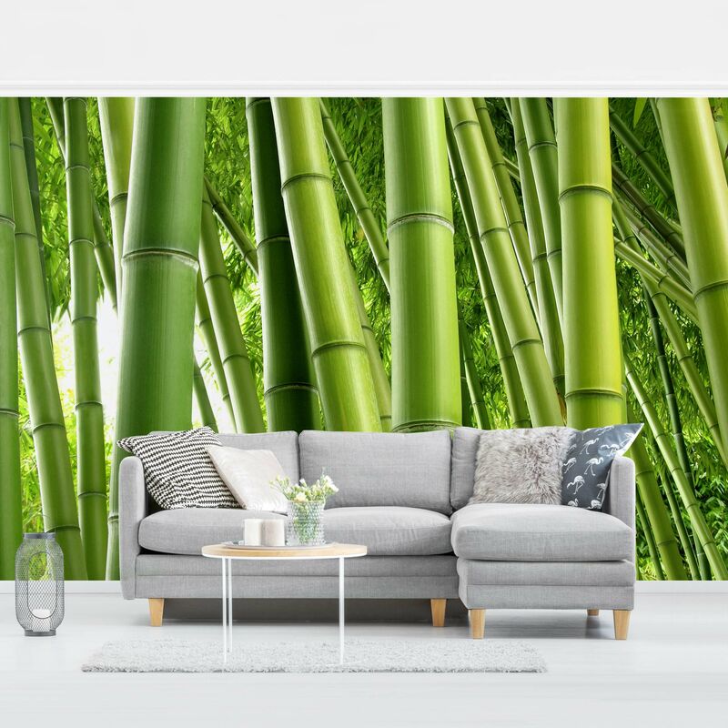 

Fotomural Premium - Bamboo Trees - Mural apaisado Dimensión LxA: 190cm x 288cm Material: Premium