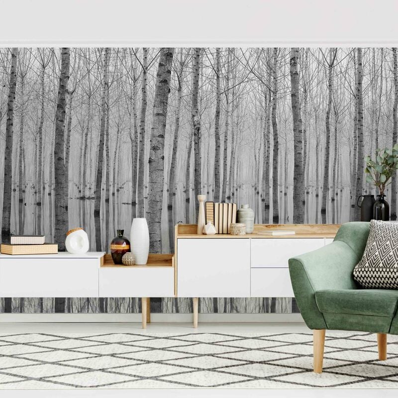 

Fotomural Premium - Birches In November - Mural apaisado Dimensión LxA: 225cm x 336cm Material: Premium