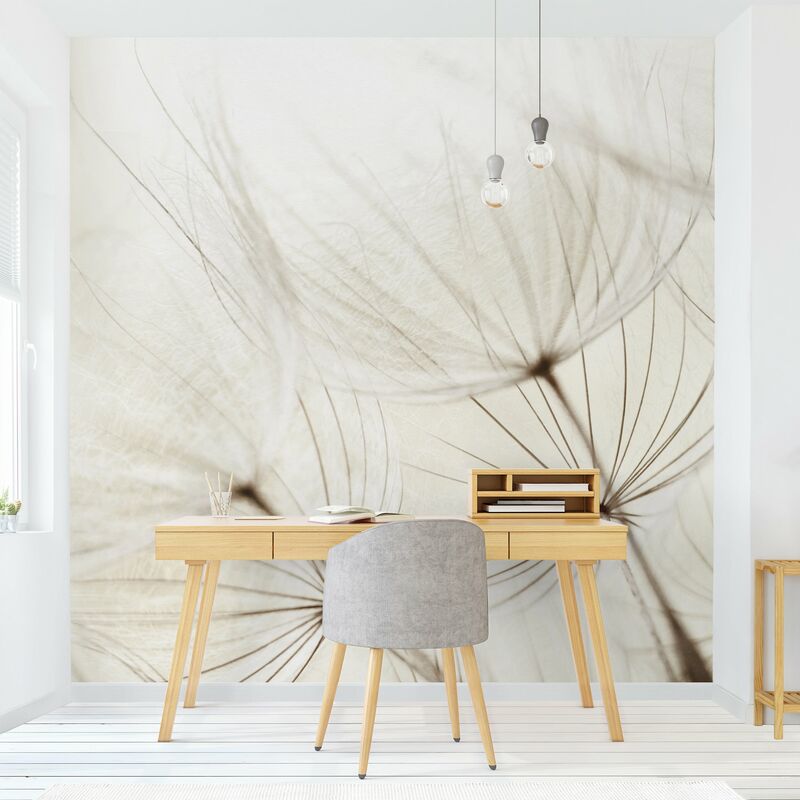 

Fotomural Premium - Gentle Grasses - Mural cuadrado Dimensión LxA: 288cm x 288cm Material: Premium