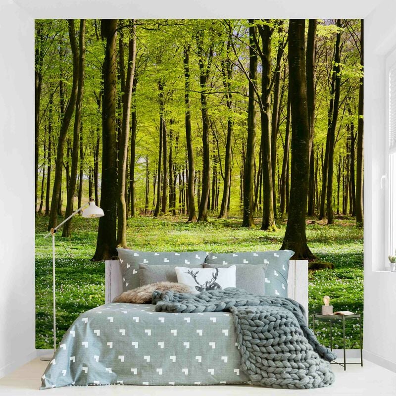 

Fotomural Premium - Glade - Mural cuadrado Dimensión LxA: 288cm x 288cm Material: Premium