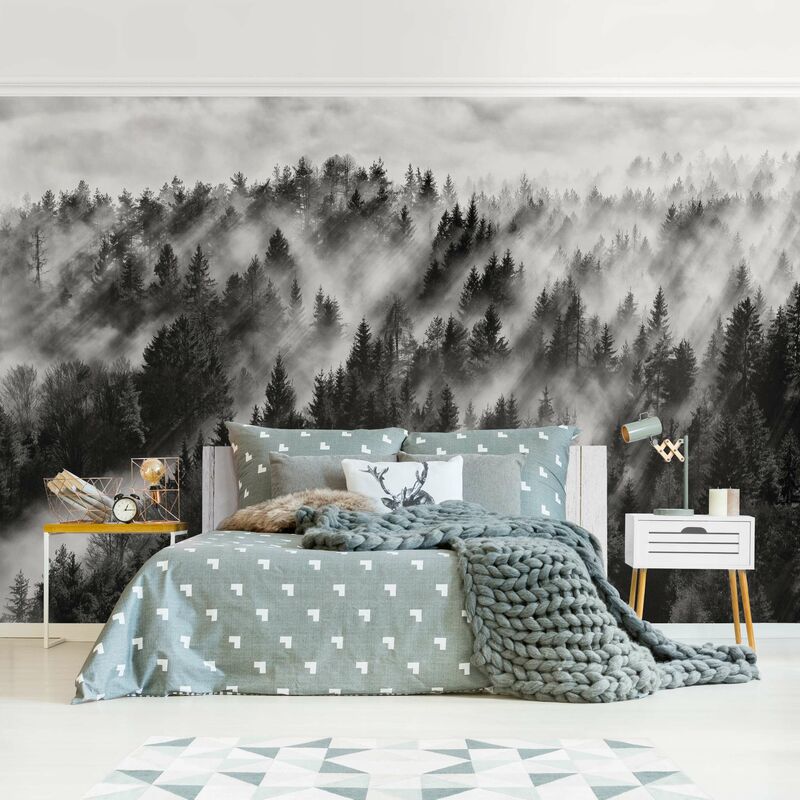 

Fotomural Premium - Light Rays In The Coniferous Forest - Mural apaisado Dimensión LxA: 290cm x 432cm Material: Premium