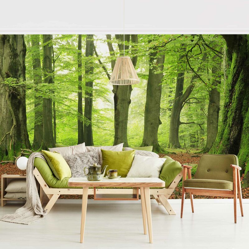 

Fotomural Premium - Mighty Beech Trees - Mural apaisado Dimensión LxA: 320cm x 480cm Material: Premium