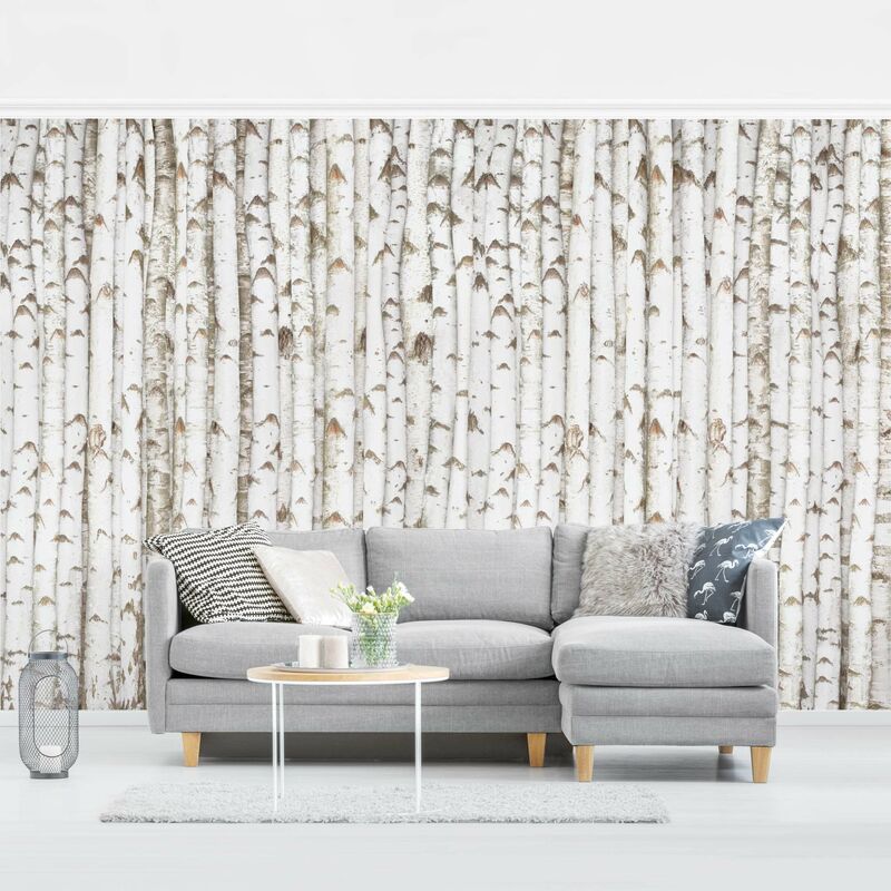 

Fotomural Premium - No.YK15 Birch Wall - Mural apaisado Dimensión LxA: 190cm x 288cm Material: Premium