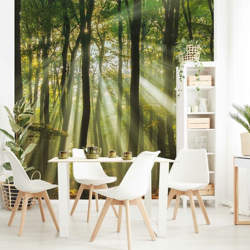 

Fotomural Premium - Sunny Day In The Forest - Mural cuadrado Dimensión LxA: 288cm x 288cm Material: Premium