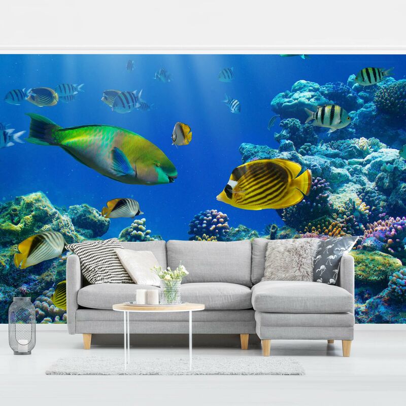

Bilderwelten - Fotomural Premium - Underwater Lights - Mural apaisado Dimensión LxA: 225cm x 336cm Material: Premium