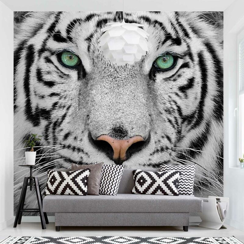 

Fotomural Premium - White Tiger - Mural cuadrado Dimensión LxA: 240cm x 240cm