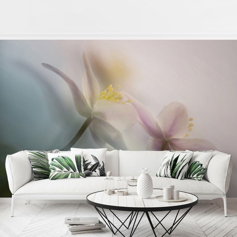 

Fotomural Premium - Windflower - Mural apaisado Dimensión LxA: 320cm x 480cm Material: Premium