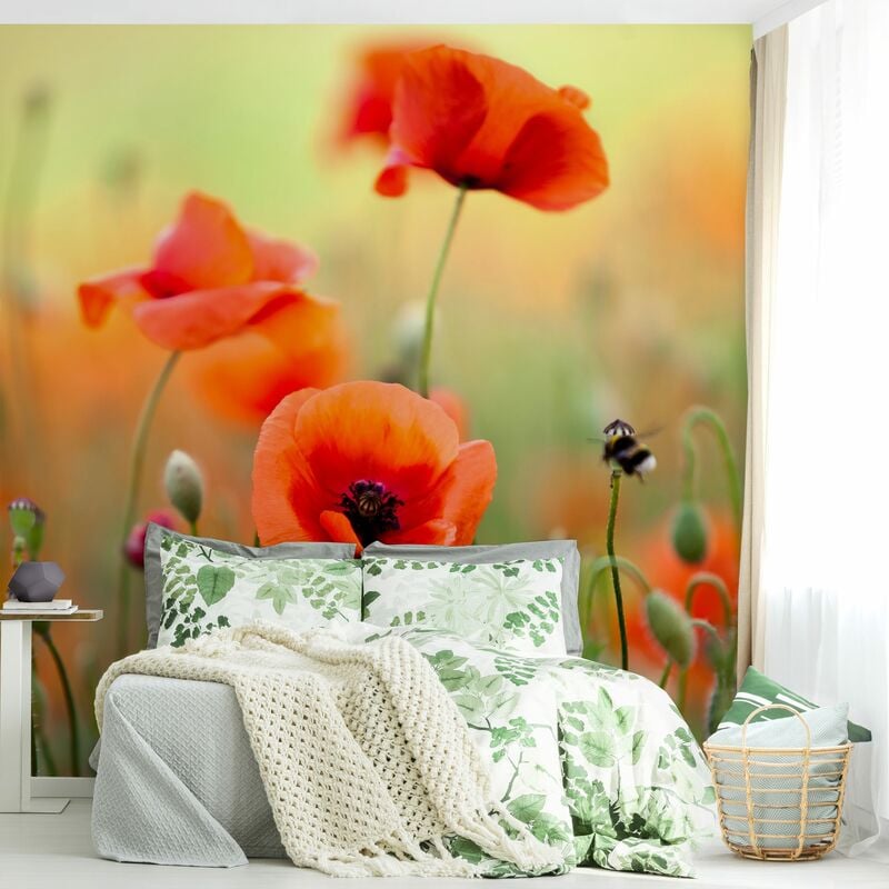 

Fotomural - Red Summer Poppy - Mural cuadrado Dimensión LxA: 288cm x 288cm