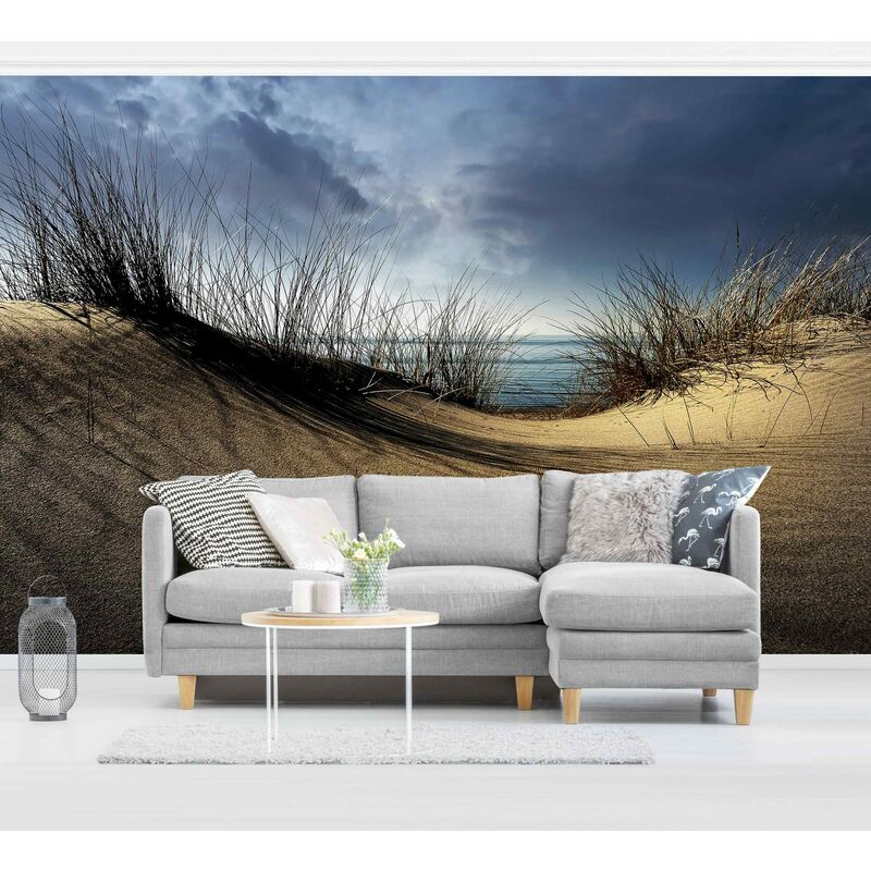 

Fotomural - Sand Dune - Mural apaisado Dimensión LxA: 320cm x 480cm