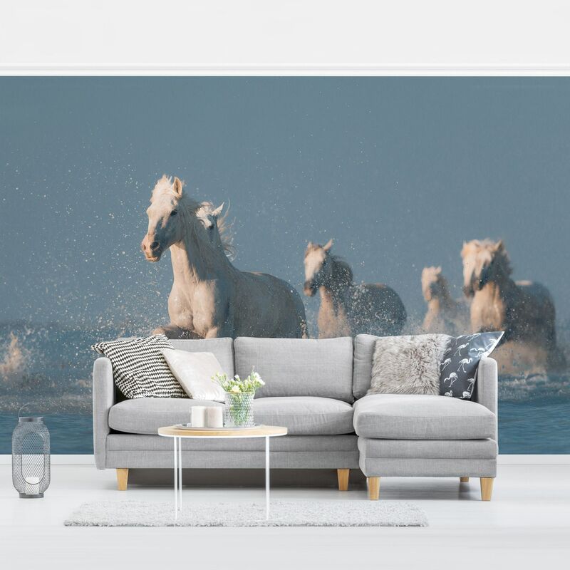 

Fotomural - Schimmel Herd - Mural apaisado Dimensión LxA: 225cm x 336cm