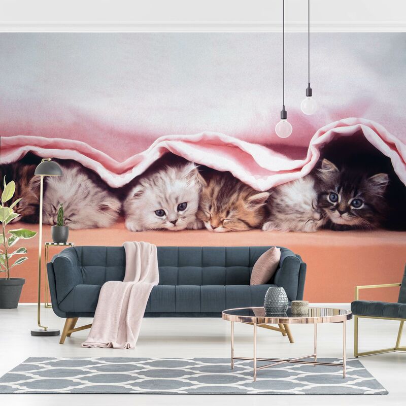 

Fotomural - Sugar-Sweet - Mural apaisado Dimensión LxA: 255cm x 384cm