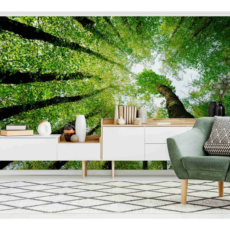 

Fotomural - Trees Of Life - Mural apaisado Dimensión LxA: 225cm x 336cm