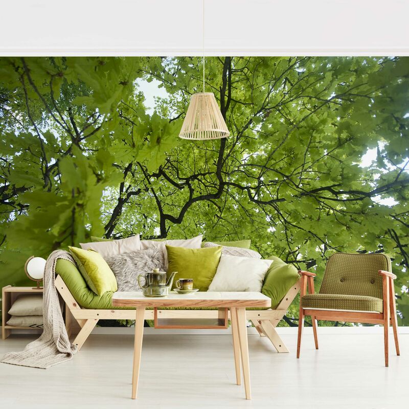 

Fotomural - Treetop - Mural apaisado Dimensión LxA: 225cm x 336cm