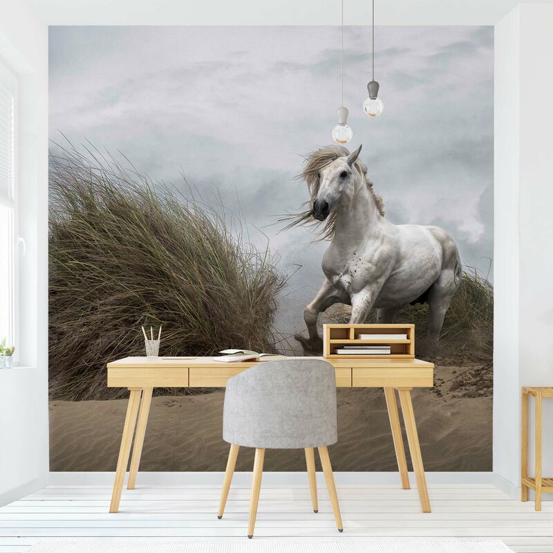 

Fotomural - White Horse In The Dunes - Mural cuadrado Dimensión LxA: 288cm x 288cm