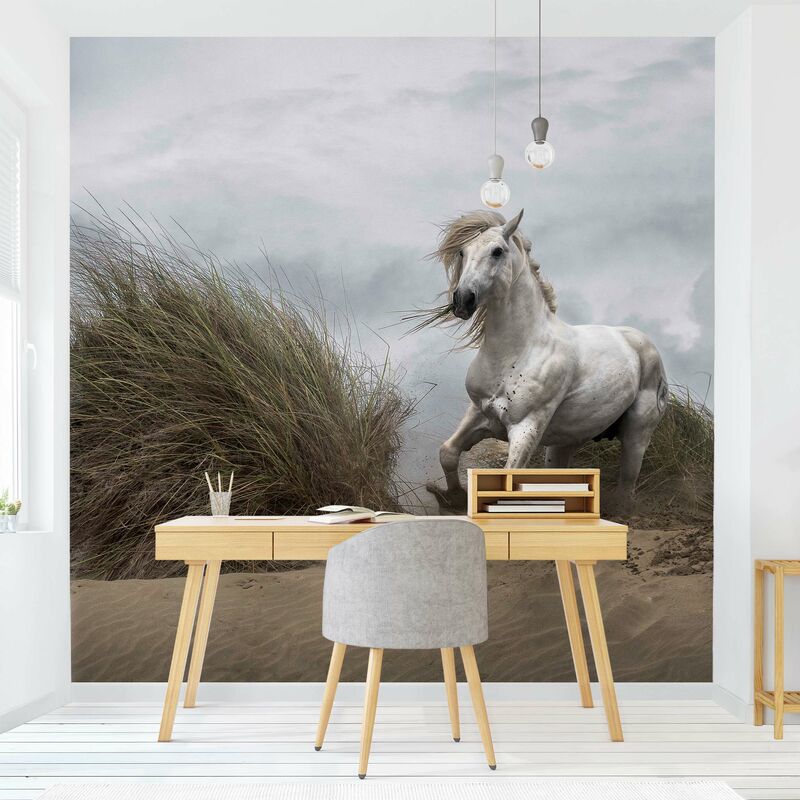 

Fotomural - White Horse In The Dunes - Mural cuadrado Dimensión LxA: 240cm x 240cm